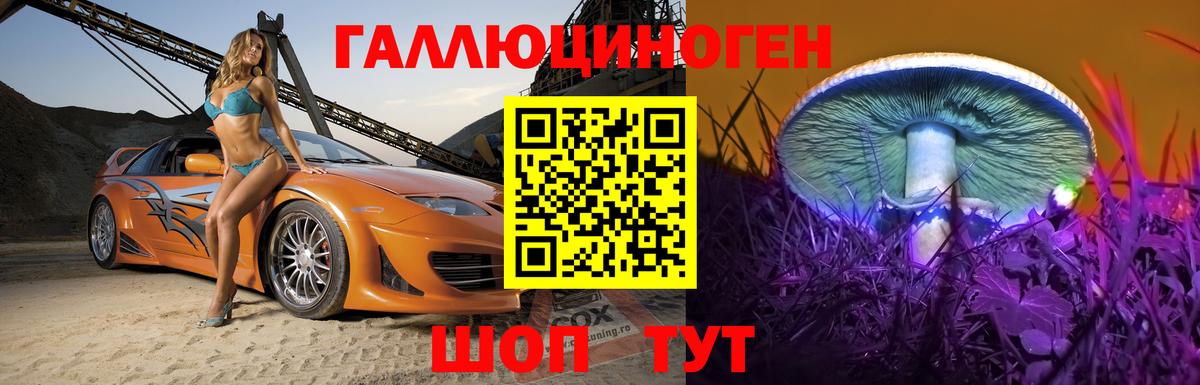 Псилоцибиновые грибы Psilocybe  Вход с VPN  купить наркоту  Щёлково 